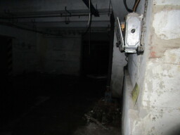Merina 10